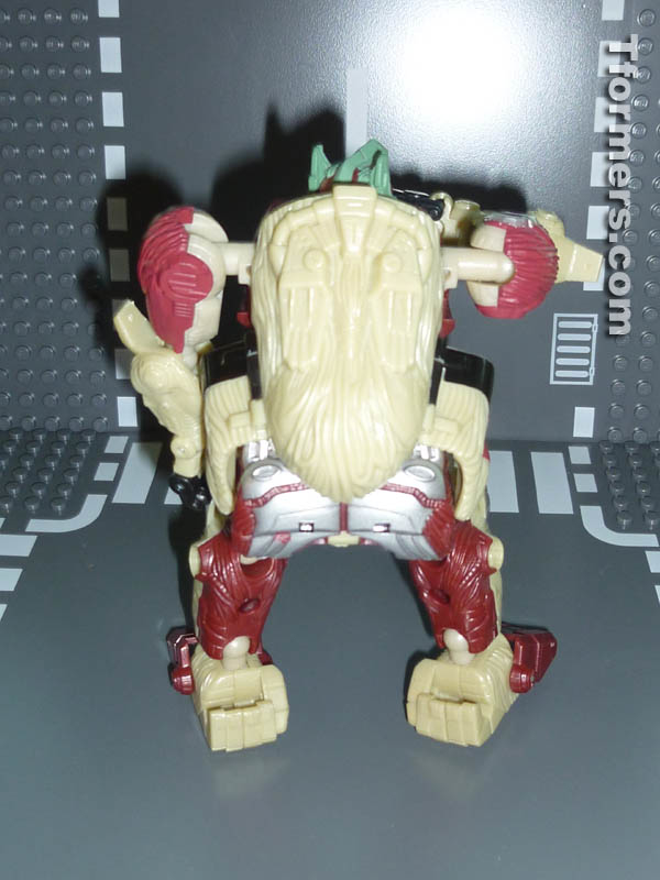 Botcon 2014 Knight 3 Pack Attendee Set  (44 of 82)